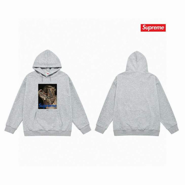 Picture of Supreme Hoodies _SKUSupremeS-2XLthtxS21786123